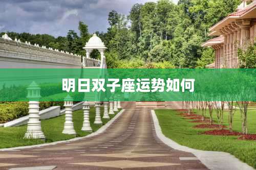 明日双子座运势如何