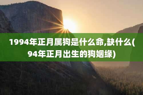 1994年正月属狗是什么命,缺什么(94年正月出生的狗姻缘)