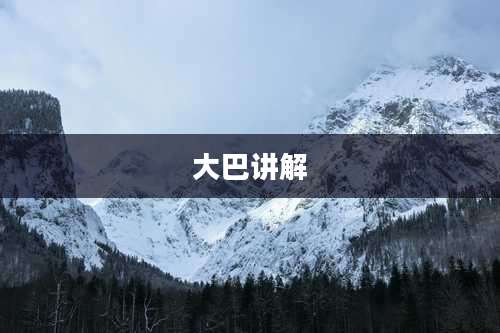 大巴讲解