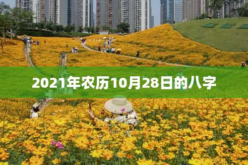 2021年农历10月28日的八字