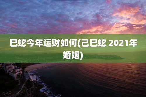 巳蛇今年运财如何(己巳蛇 2021年婚姻)
