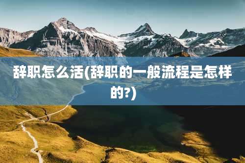 辞职怎么活(辞职的一般流程是怎样的?)