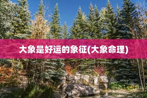 大象是好运的象征(大象命理)