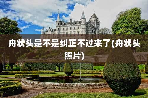 舟状头是不是纠正不过来了(舟状头照片)