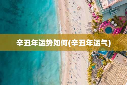 辛丑年运势如何(辛丑年运气)