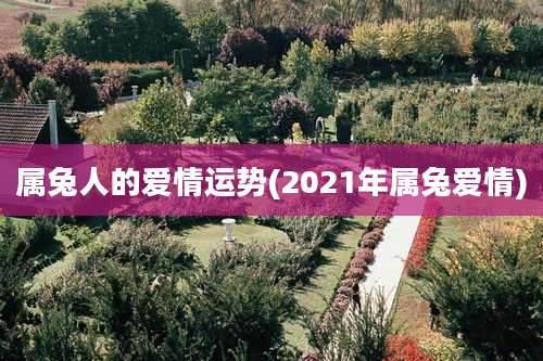 属兔人的爱情运势(2021年属兔爱情)