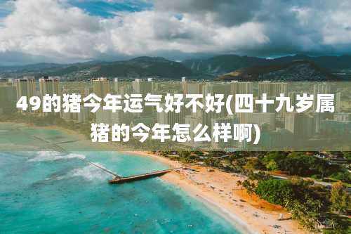 49的猪今年运气好不好(四十九岁属猪的今年怎么样啊)