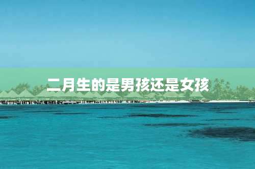 二月生的是男孩还是女孩