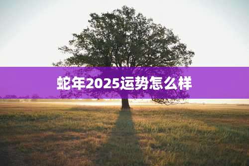 蛇年2025运势怎么样