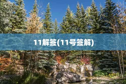 11解签(11号签解)