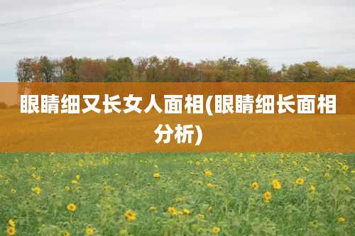 眼睛细又长女人面相(眼睛细长面相分析)