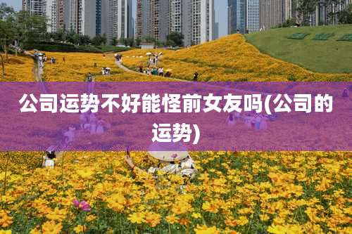 公司运势不好能怪前女友吗(公司的运势)