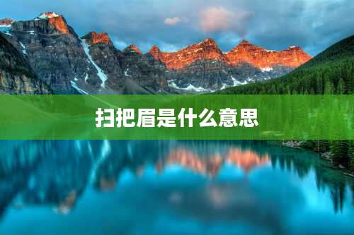 扫把眉是什么意思