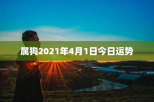 属狗2021年4月1日今日运势