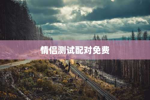 情侣测试配对免费