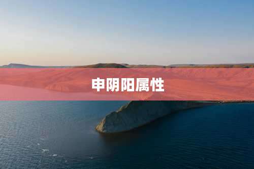 申阴阳属性