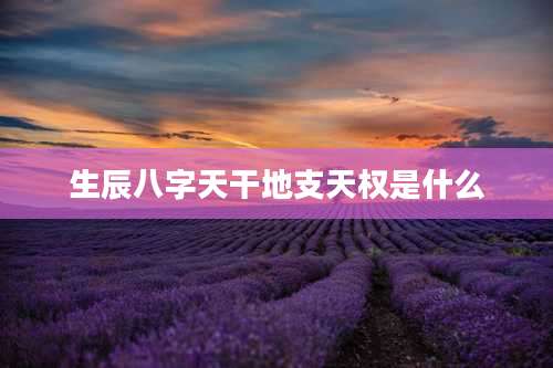 生辰八字天干地支天权是什么