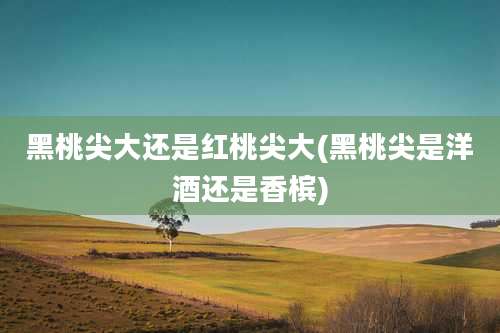 黑桃尖大还是红桃尖大(黑桃尖是洋酒还是香槟)