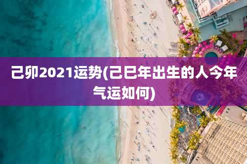 己卯2021运势(己巳年出生的人今年气运如何)