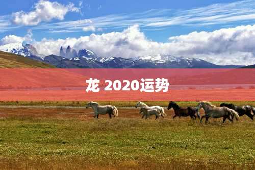 龙 2020运势