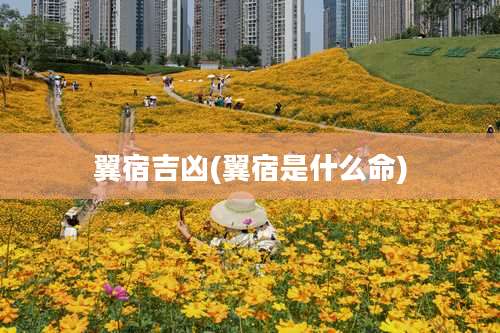 翼宿吉凶(翼宿是什么命)