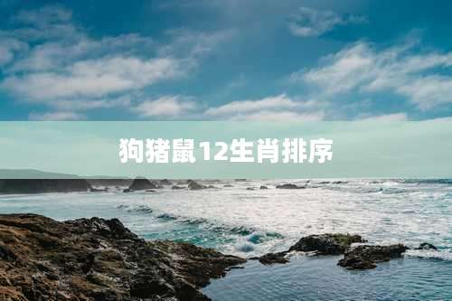 狗猪鼠12生肖排序