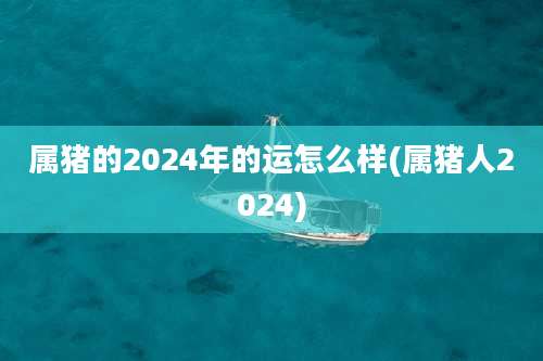 属猪的2024年的运怎么样(属猪人2024)