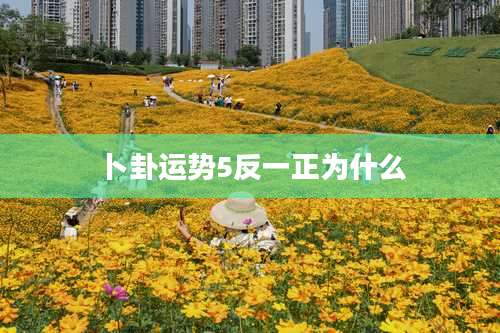 卜卦运势5反一正为什么