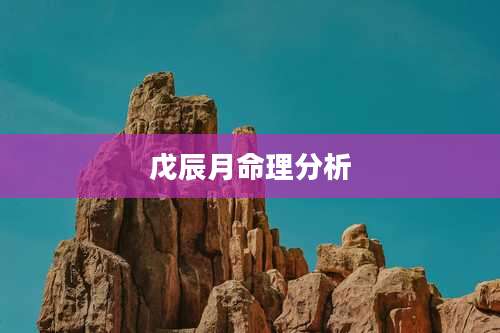 戊辰月命理分析
