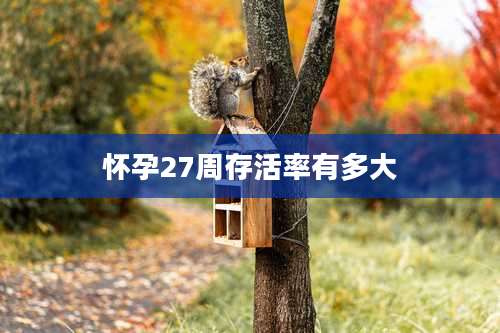 怀孕27周存活率有多大