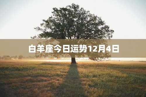 白羊座今日运势12月4日