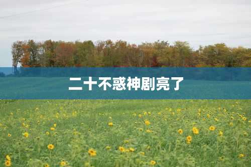 二十不惑神剧亮了