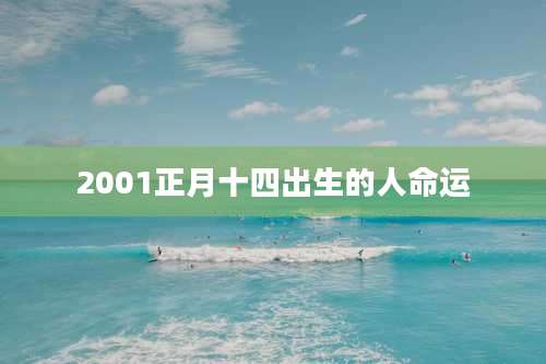 2001正月十四出生的人命运