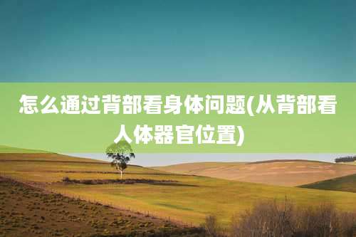 怎么通过背部看身体问题(从背部看人体器官位置)