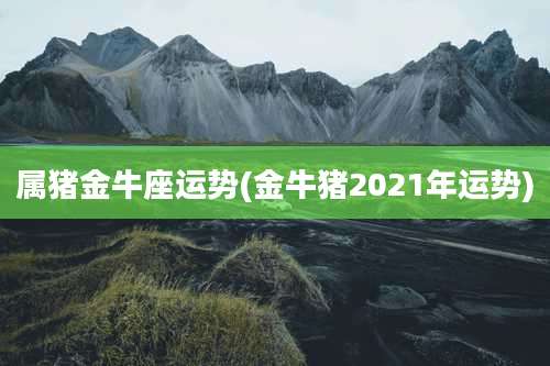 属猪金牛座运势(金牛猪2021年运势)