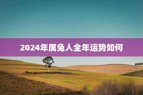 2024年属兔人全年运势如何