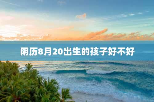 阴历8月20出生的孩子好不好