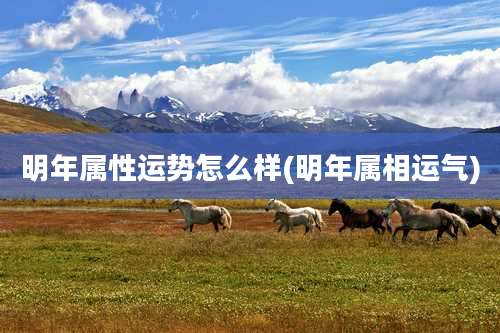 明年属性运势怎么样(明年属相运气)