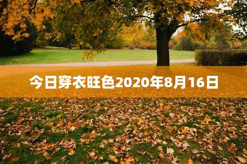 今日穿衣旺色2020年8月16日
