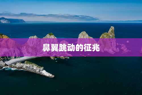 鼻翼跳动的征兆