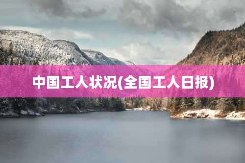 中国工人状况(全国工人日报)