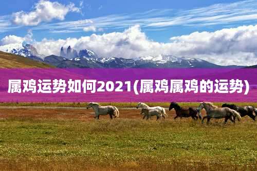属鸡运势如何2021(属鸡属鸡的运势)