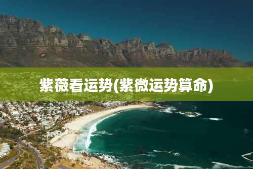 紫薇看运势(紫微运势算命)