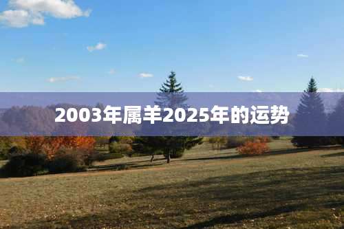 2003年属羊2025年的运势