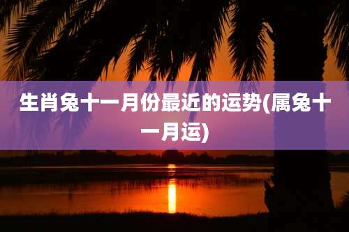 生肖兔十一月份最近的运势(属兔十一月运)