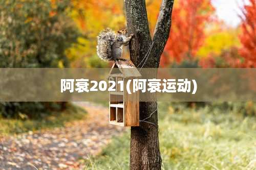 阿衰2021(阿衰运动)