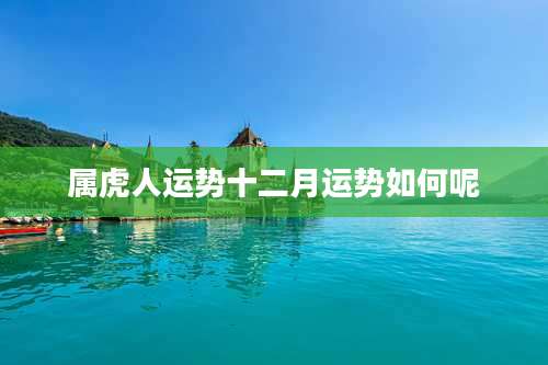 属虎人运势十二月运势如何呢