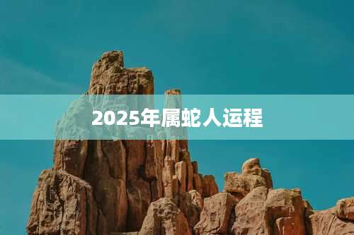 2025年属蛇人运程