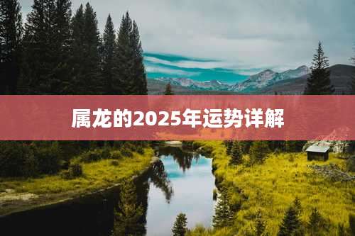 属龙的2025年运势详解