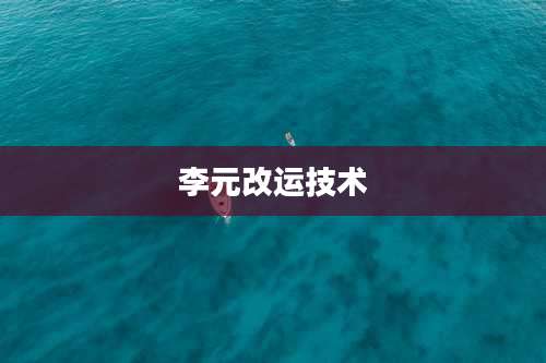 李元改运技术